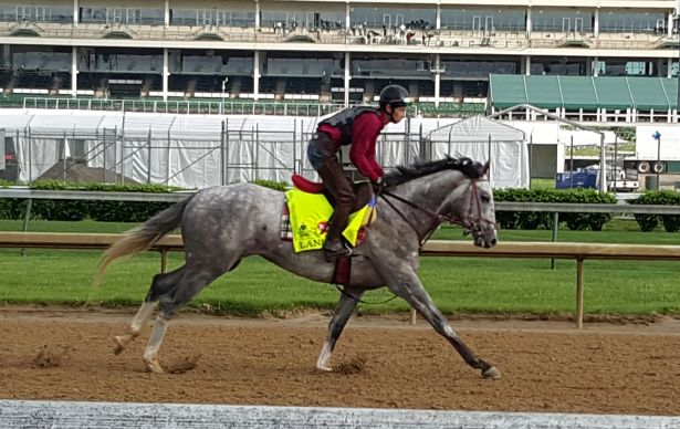 Kentucky Derby 2016 Photos & Perspective from the Backside